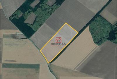 Teren de 315000 mp, în Fundulea