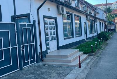 Spatiu comercial Restaurant - 2