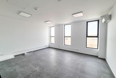 Hale,spatii industriale Albota,Pitesti Arges - 12