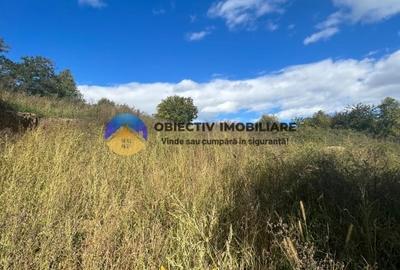 Teren investitie Turturesti-Girov - 4