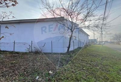 De inchiriat Hala si Birouri Str. Apateului, Centura Oradea - 12