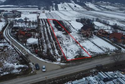 Teren de 2533 mp, în Bălteni - 9