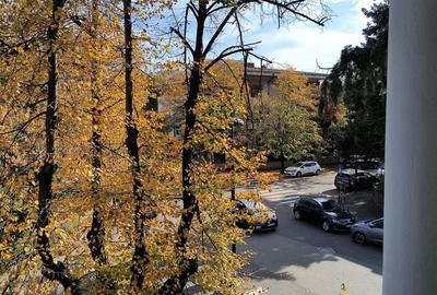 Casă individuală cu 20 camere cu Canalizare în Primăverii - 35