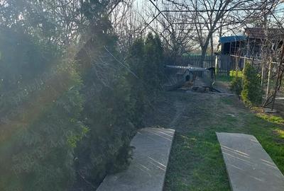 Casă cu 7 camere cu Teren 5500 Mp în Central - 8