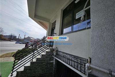 Damaroaia stradal 50 mp - 5