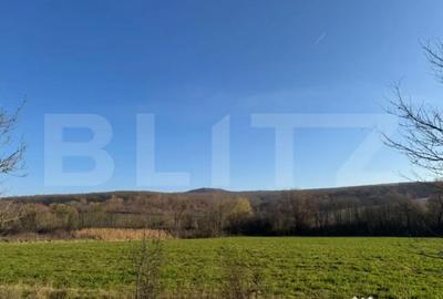 Teren de 13374 mp, în Central - 1