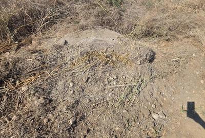 Teren de 5450 mp, în Ciorogârla - 3