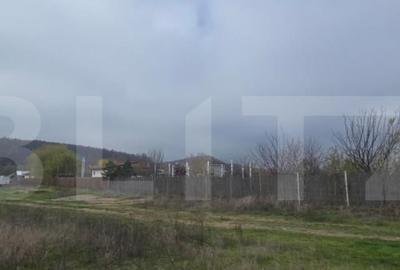 Teren intravilan de 2.000 mp, front 18 metri, Leamna de Jos - 2