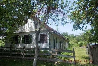 Casă cu Teren 2877 Mp în Bogda - 1