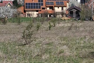 Spațiu comercial, în Calea Sighisoarei - 6