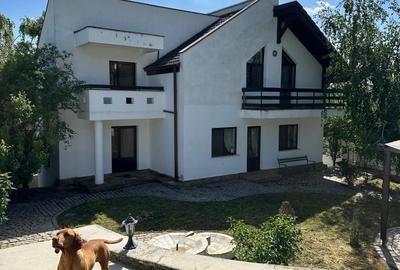 Vila Bucium cod 158289 - 29