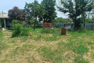 Casă cu 4 camere cu Teren 1490 Mp în Tămăoani - 10