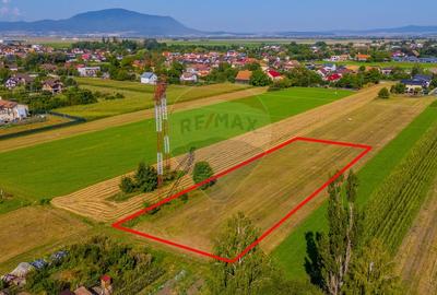 COMISION 0% Teren 3098 mp Brasov / Stupini - 3