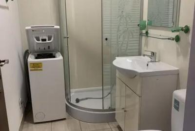 Apartament cu 2 camere semidecomandat, mobilat în Bariera Vâlcii - 9