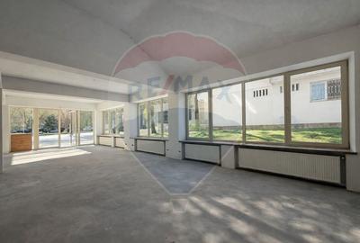 Spațiu comercial, de 428.08999633789 mp, în Central - 3