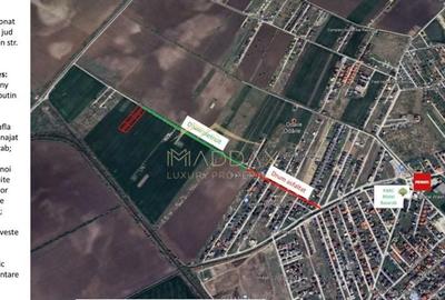 Teren intravilan pentru dezvoltare *7000* mp // Otopeni (Odaile) - 3