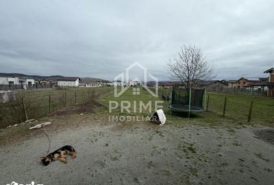 Casă cu 3 camere cu Teren 1575 Mp în Cetate - 2