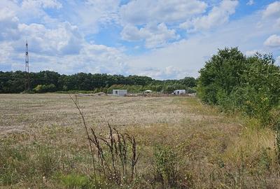 Balotesti teren intravilan 14036 mp Arc padurea Codrii Vlasiei - 2