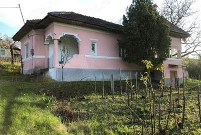 Casă cu Teren 5000 Mp în Gura Motrului - 4