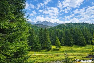 Teren în Zărnești - 7
