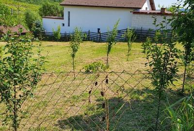 Teren de 1200 mp, în Central