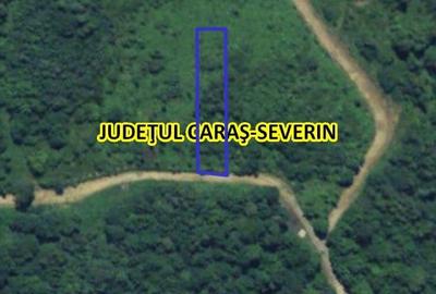 Teren de vanzare la Valiug 1000-3000mp ID 1218 - 3