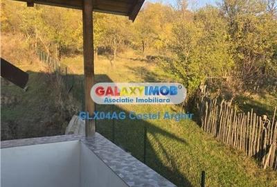 Inchiriem vila in Budeasa, mobilata si utilata - 11