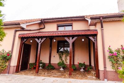 Casă cu 4 camere cu Teren 3200 Mp în Archiș - 8