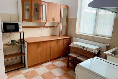 De Inchiriat Casa cu 2 camere 500 mp teren - Santandrei, Bihor - 10