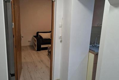 Apartament cu 2 camere decomandat în Lujerului - 5