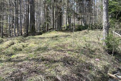 Teren Construcții intravilan de 1136 mp, în Furnica - 1