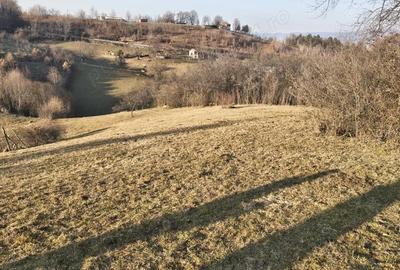 Teren de 21504 mp, în Bratca - 2