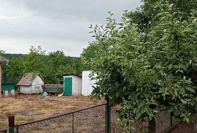 Casă cu 3 camere în Cecălaca - 5