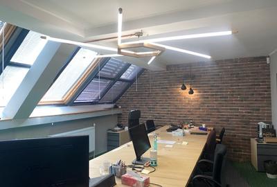 Cismigiu-Mircea Vulcanescu Cismigiu-Mircea Vulcanescu - 5