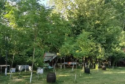 Teren in Contesti, Dambovita - 14