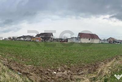 Teren de 14130 mp, în Sânmartin - 1