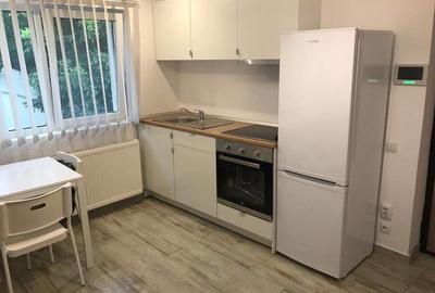 Garsonieră în Costin Georgian - 5