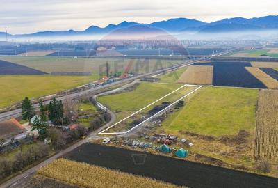 COMISION 0% Teren 3,600mp Brasov / Strada Livezilor - 2