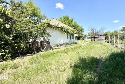 Casă cu 2 camere cu Teren 3000 Mp în Țigănași - 6