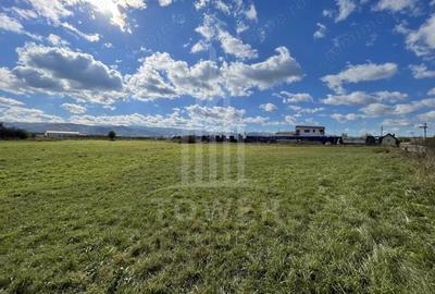 Teren de 6000 mp, în Cristian - 6