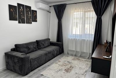 Apartament cu 2 camere semidecomandat, mobilat în Lunca Cetățuii - 2