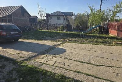 Casă cu Teren 4600 Mp în Tetoiu - 8