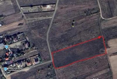 Teren de 400 mp, în Malu Mare