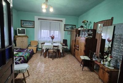 Casă cu 3 camere cu Teren 2800 Mp în Sânmihaiu Almașului - 13