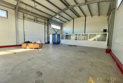 Spațiu industrial, de 400 mp, în Vest - 6