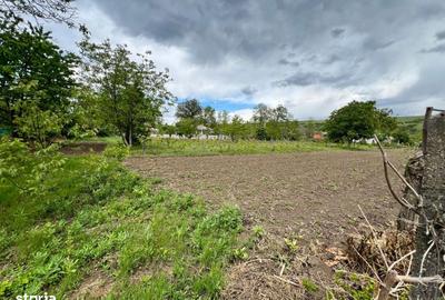 Casă cu 4 camere cu Teren 4430 Mp în Buciumeni - 18