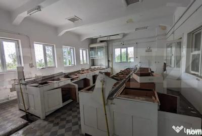 Casă cu 5 camere cu Teren 1216 Mp în Central - 10