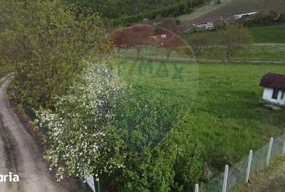Teren de 3826 mp, în Apahida - 4