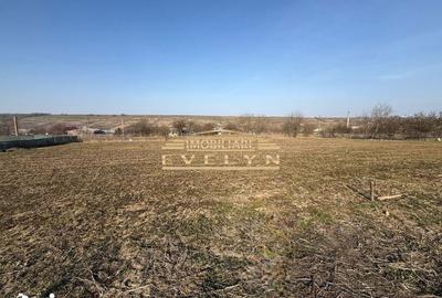 Teren de 540 mp, în Central - 2