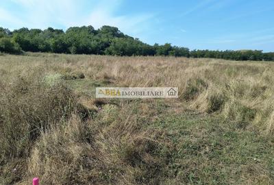 Teren intravilan investitie turism balnear fonduri europene - 5